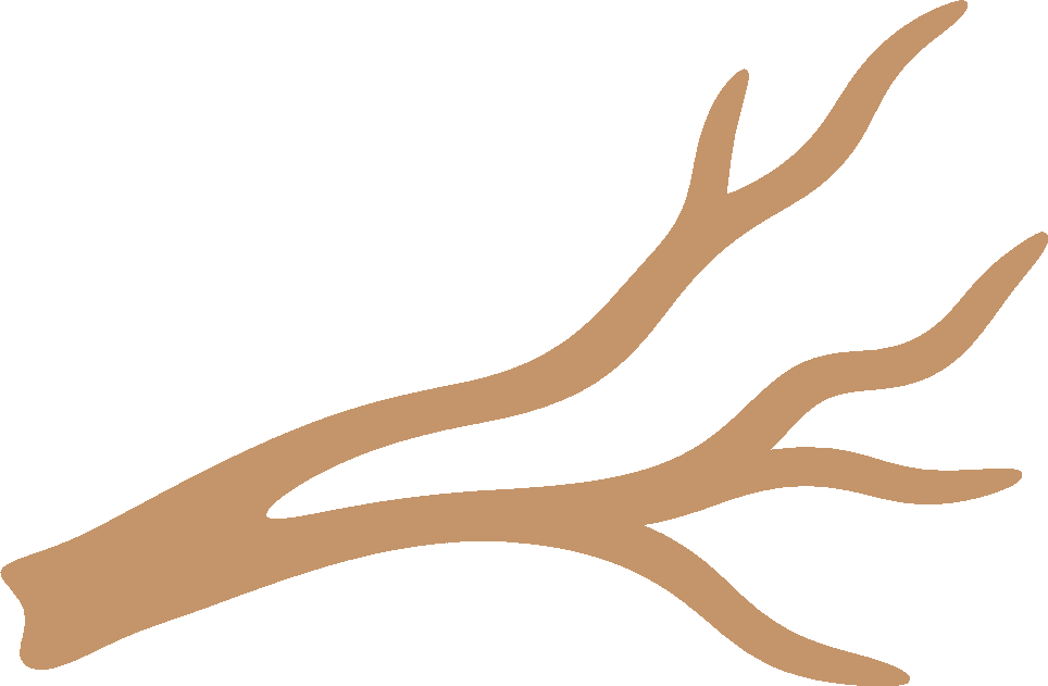 Driftwood logo